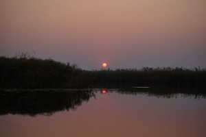 Beautiful sunset over the Okavango Pan Handle waterways